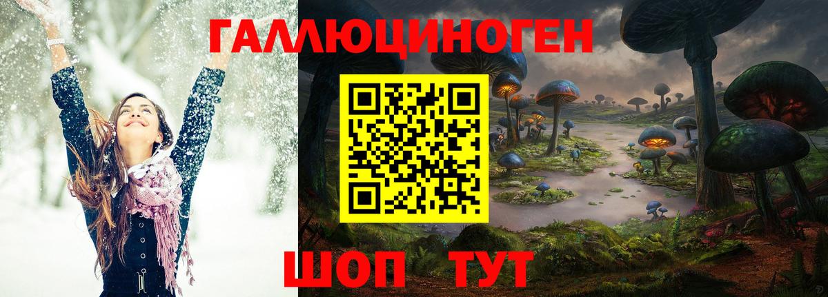 Галлюциногенные грибы ЛСД  Псилоцибиновые грибы Psilocybe  магазин  наркотиков  Михайловка  Вход с VPN 